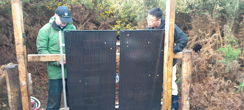 MANA Field Work Wrap-up